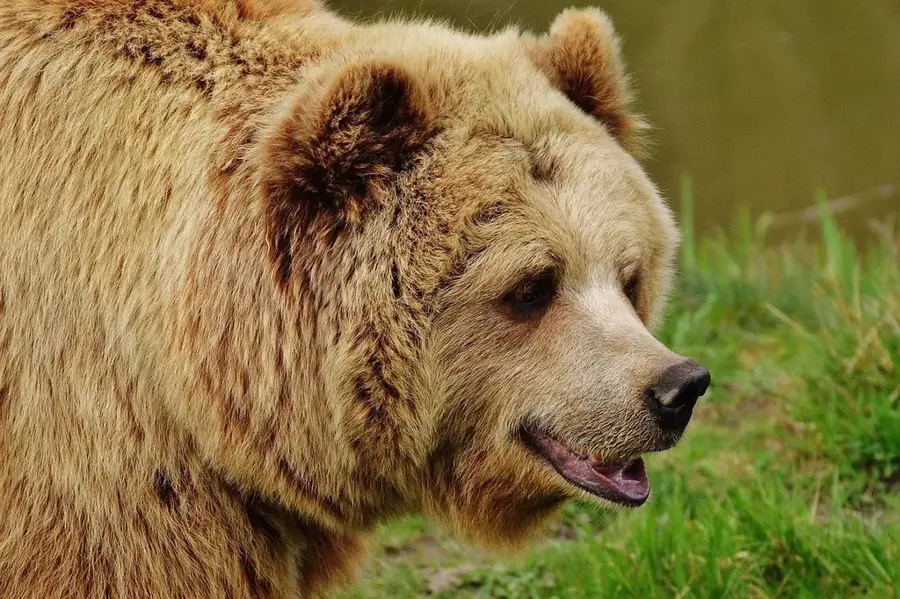 Wildpark Poing