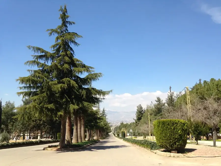 Umayyaden-Stadt Anjar — Baskinta (Libanon)