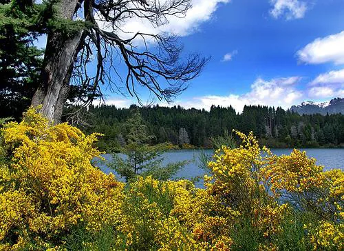 Isla Victoria