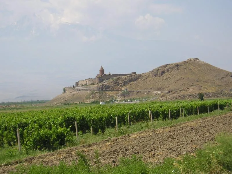 Vayots Dzor Pomegranate Orchards — Nakhchivan (Azerbaijan)