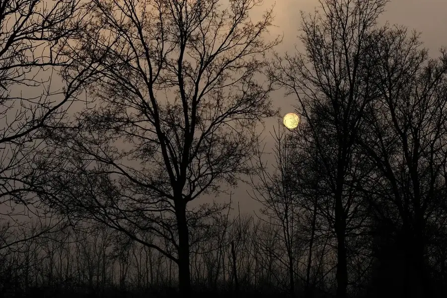 Danube-Auen National Park