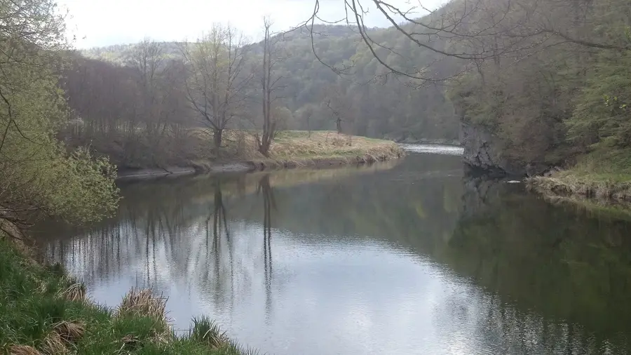 Thayatal National Park
