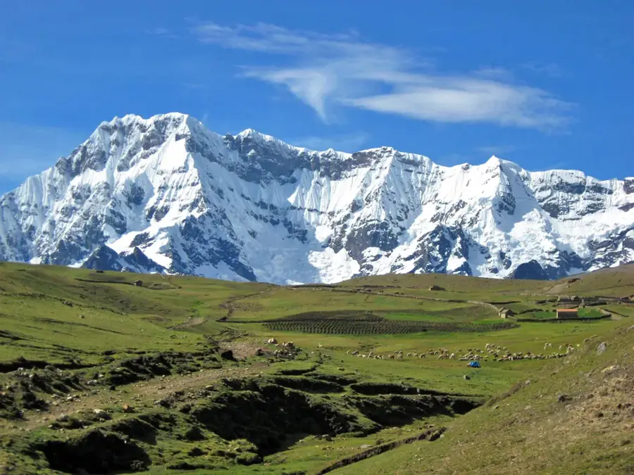 Ausangate Alpaca Herds — Ausangate (Peru)