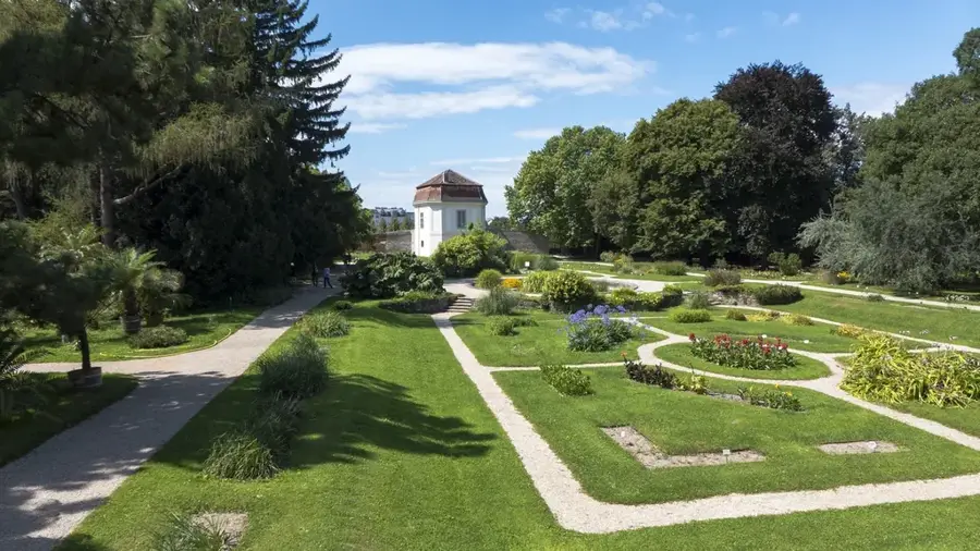 Grădina Botanică a Universității din Viena