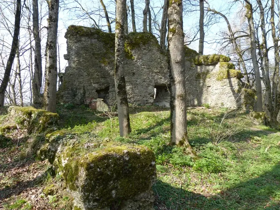 Rothenstein Castle Ruins — Pressbaum (Austria)