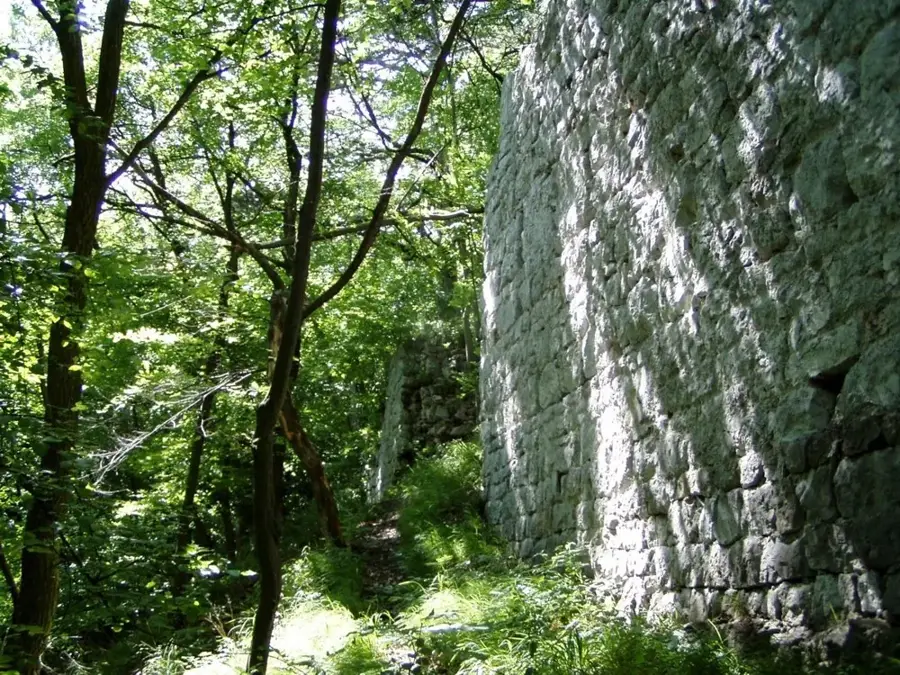 Ruinele castelului Scharfeneck — Schwechat (Austria)