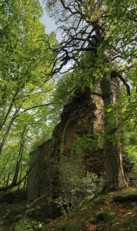 Steinegg Castle Ruins