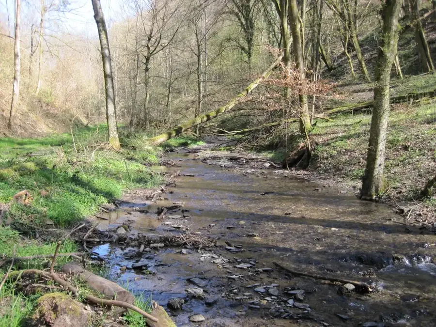Tiefenbach várrom