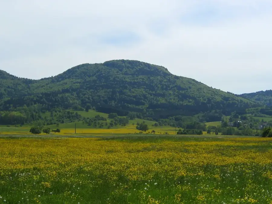 Schafberg – mountain