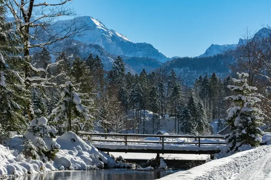 Cumberland Wildlife Park — Pasching (Austria)