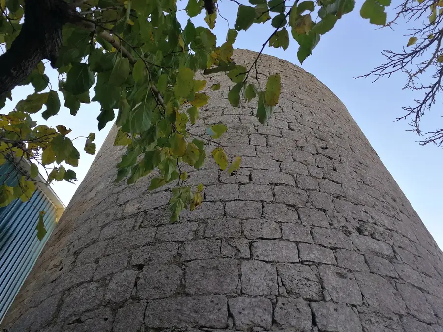 Bilgah