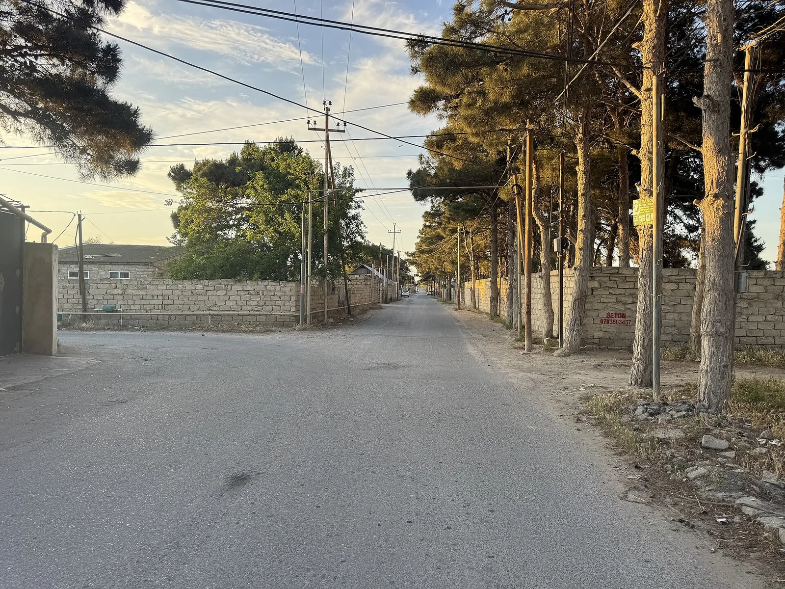 Üzümçülük Türkan