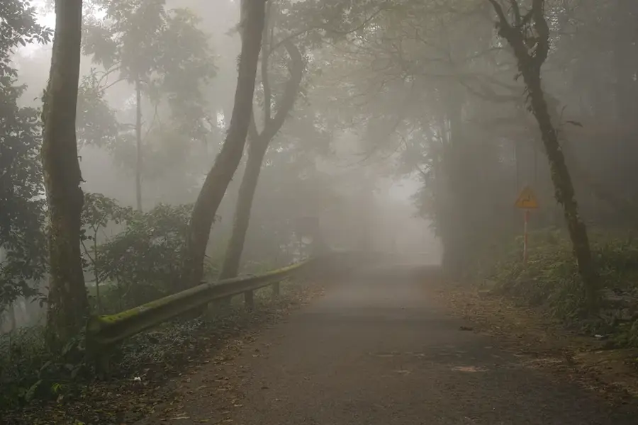 Ba Vì National Park
