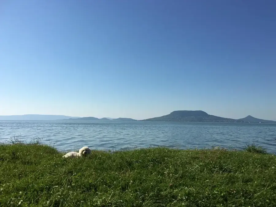 Badacsony – Sehenswürdigkeit