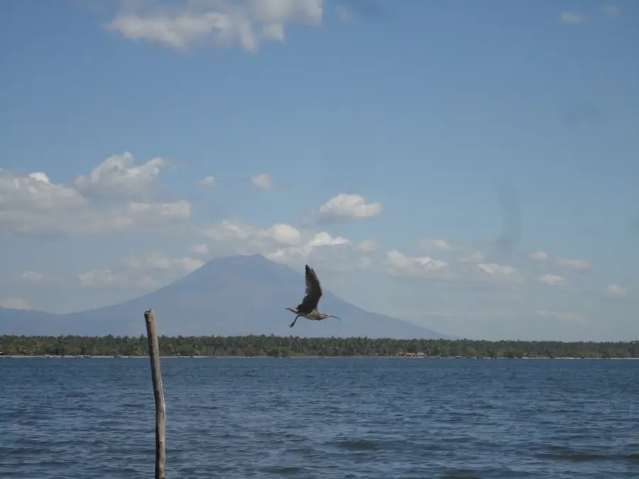 Bahia de Jiquilisco — Usulután (El Salvador)