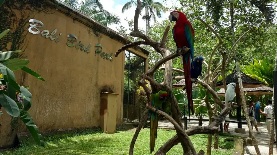 Bali Madárpark