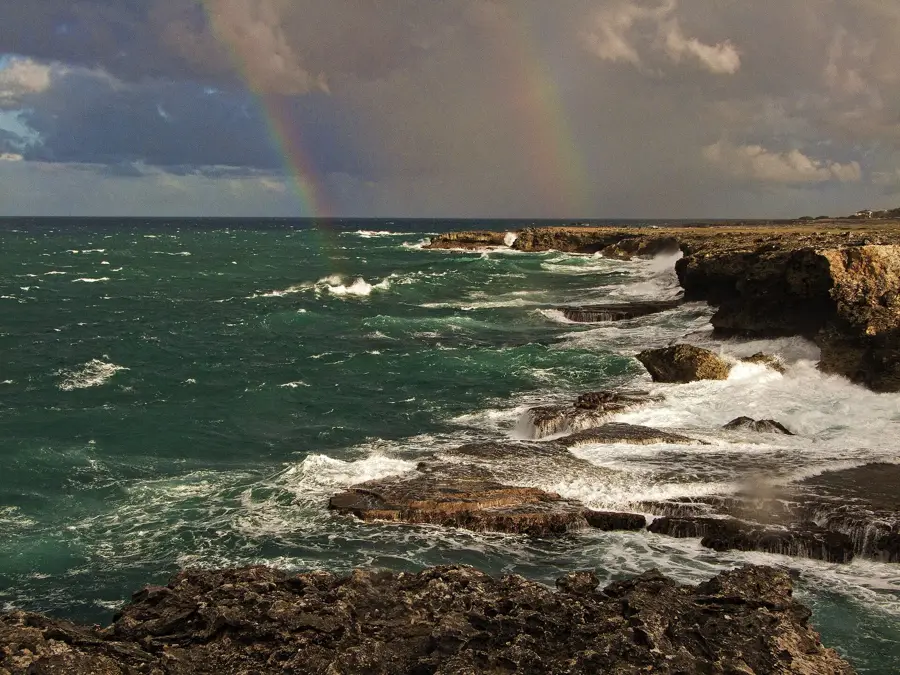 North Point Cliffs