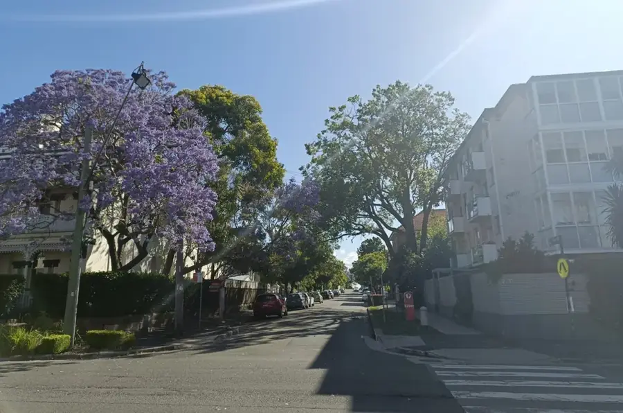 The Glebe