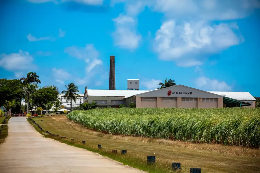 West Indies Rum-Brennerei