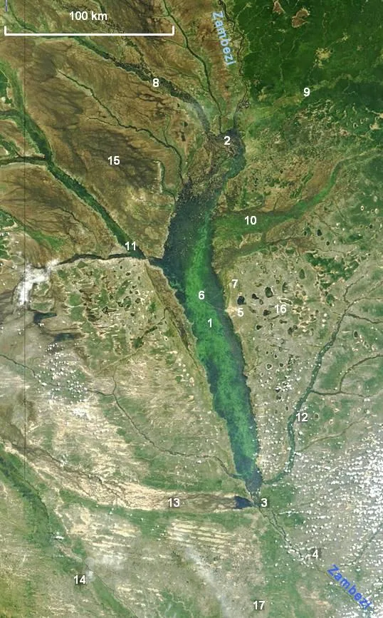 Câmpia inundabilă Barotse