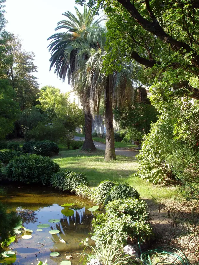 Bayan Botanical Garden