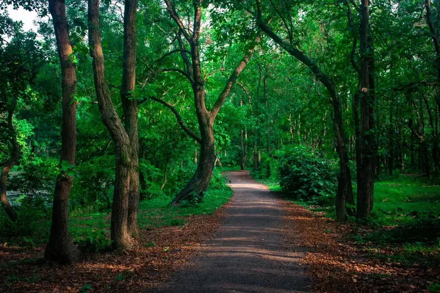 Bhawal-Nationalpark — Bahadur Shah Park (Bangladesch)