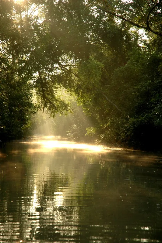 Sundarbans — Khulna (Bangladesch)