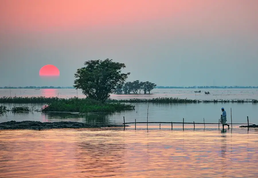 Tanguar Haor