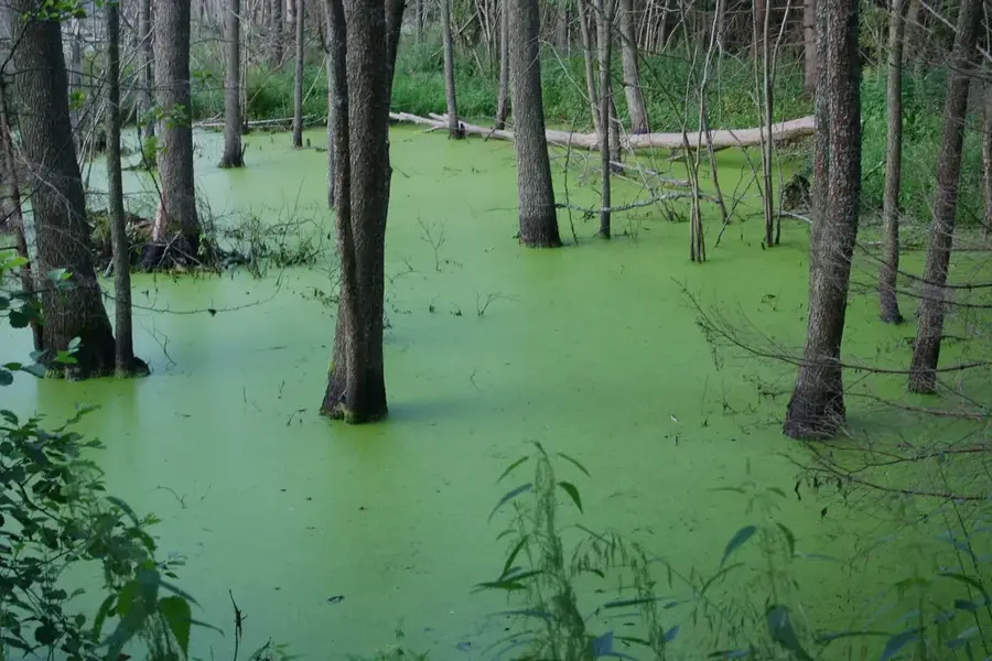 Kozyansky Biological Reserve