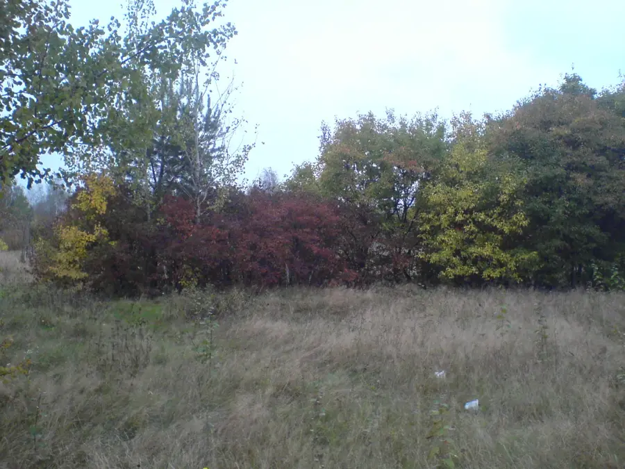 Mogilevkhimvolokno