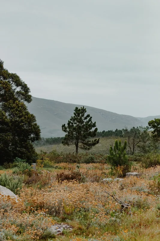 Osveysky Landscape Reserve — Bandar Abbas (Iran)