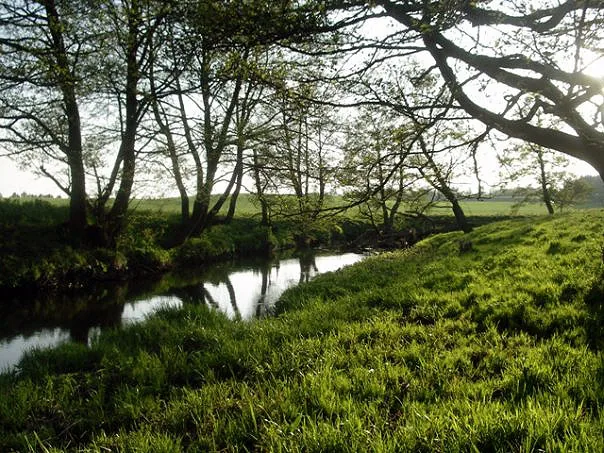 Ptich River