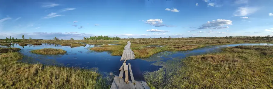 Yelnya Landscape Reserve — Bandar Laft (Iran)