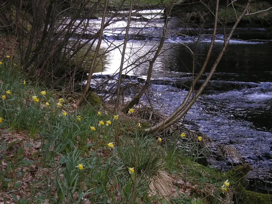 Bayehon-Wasserfall
