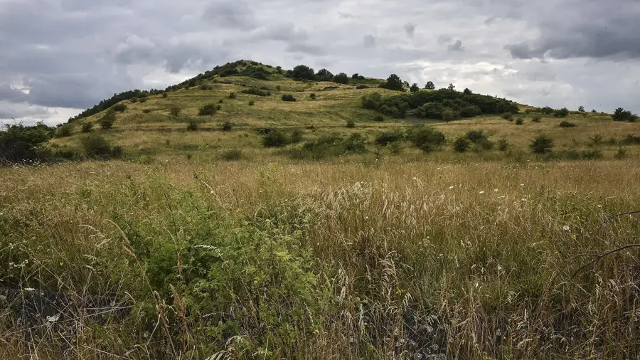 Situl minei de cărbune Beringen