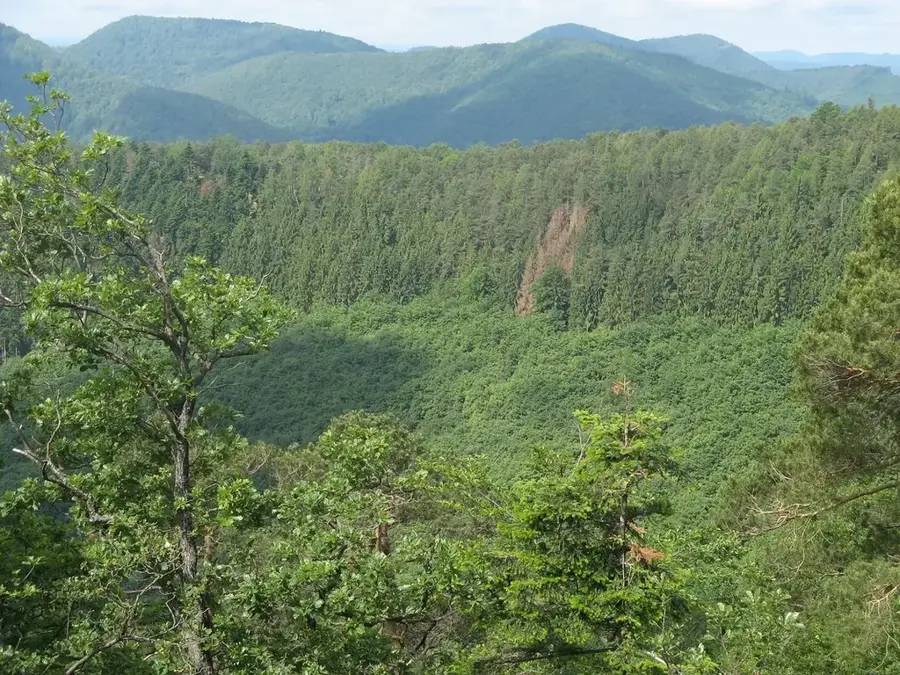 Naturpark Deux Ourthes