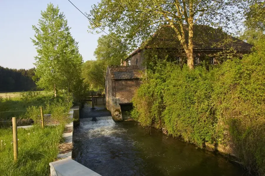 Valea Dijle