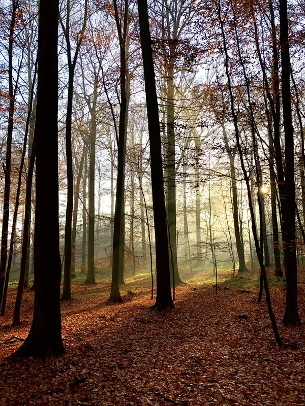 Arboretum Groenendaal