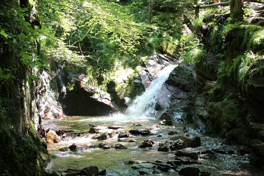 Ninglinspo Valley