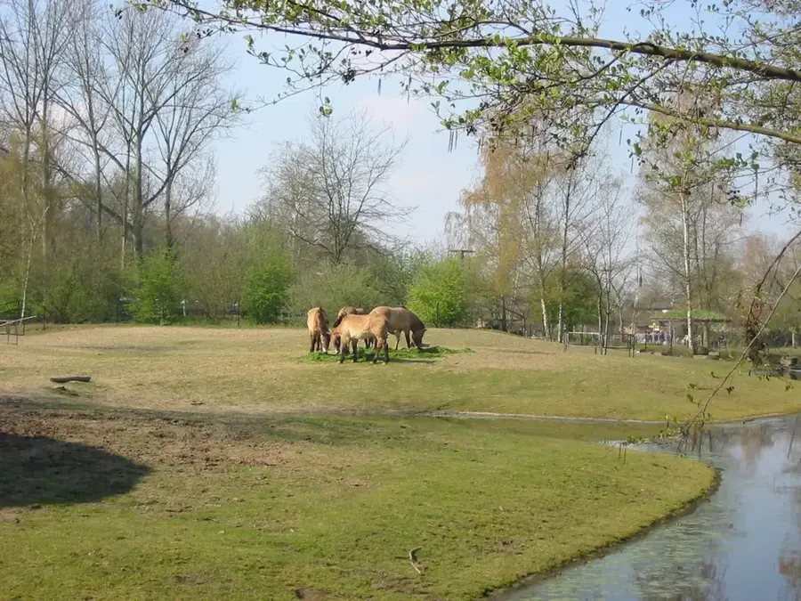 Planckendael