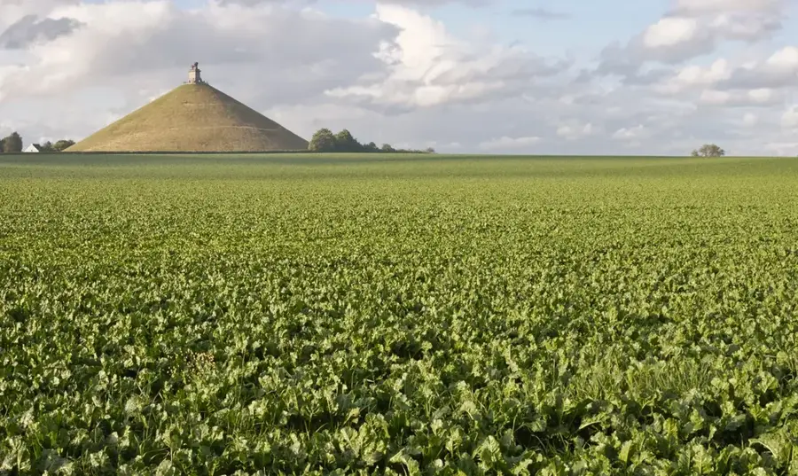 Waterloo Battlefield