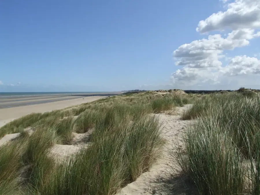 Dünen von Westhoek