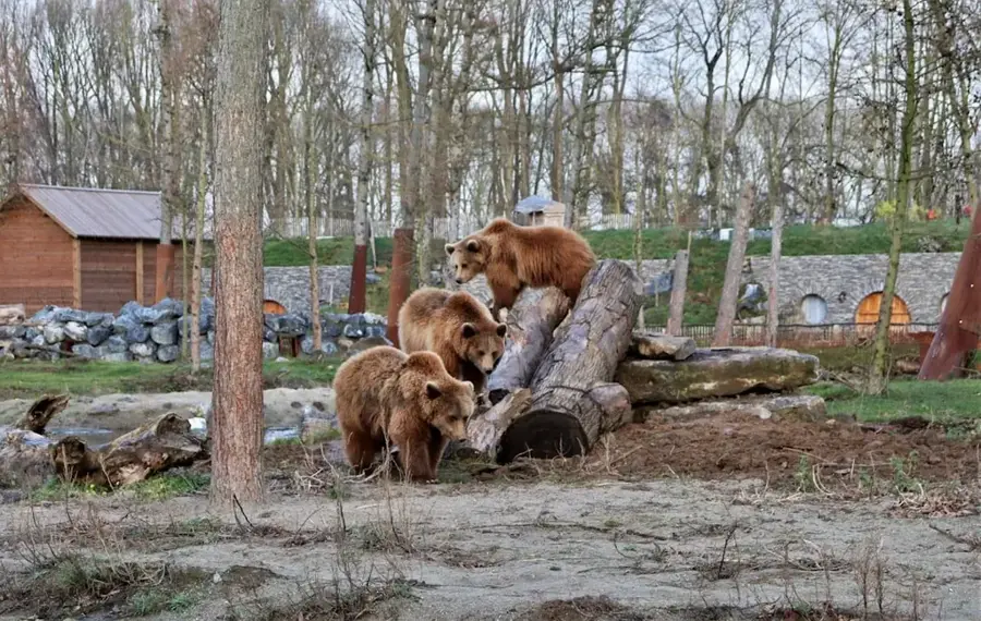Wildtierpark Han-sur-Lesse