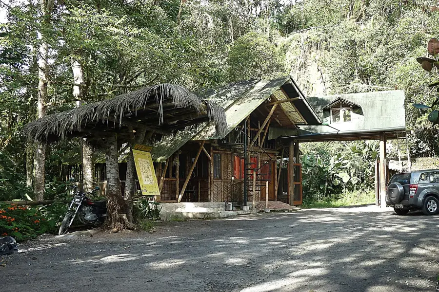 Rezervația Pădurii de Nori Bellavista — Saquisilí (Ecuador)