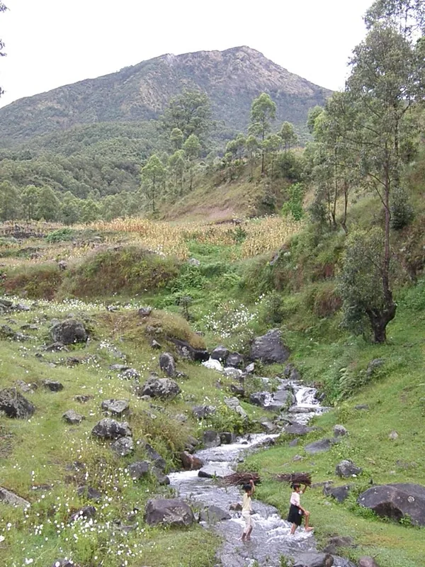 Belulik