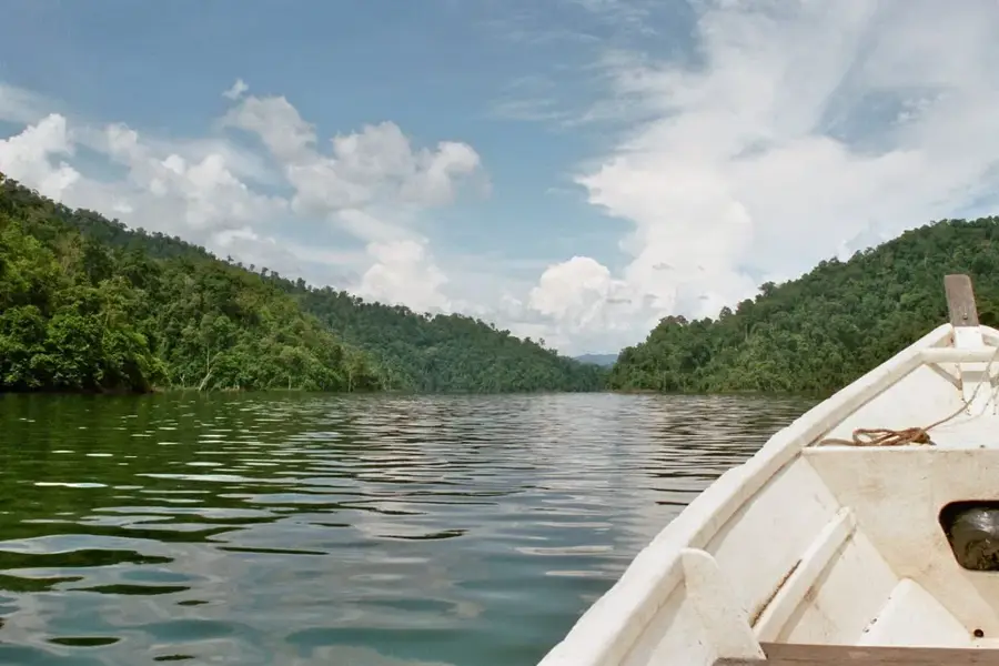 Belum-Temenggor Forest Reserve
