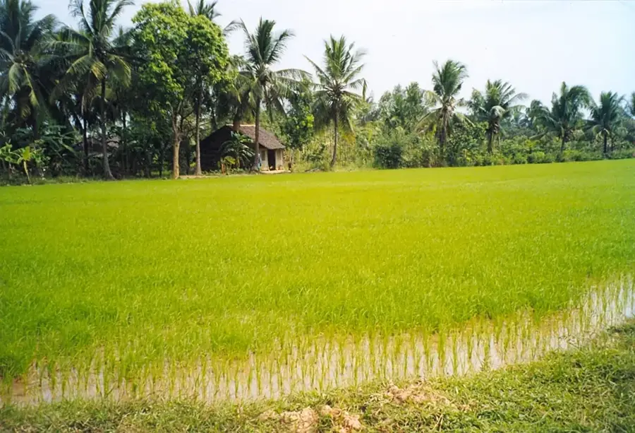 Bến Tre — Sóc Trăng (Vietnam)