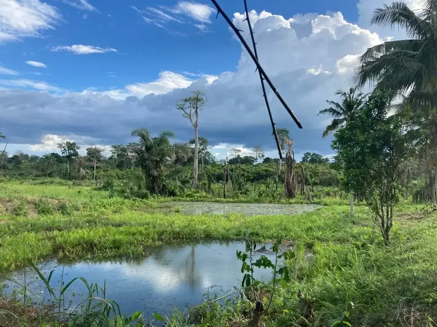 Parcul Național Bia — Bibiani (Ghana)