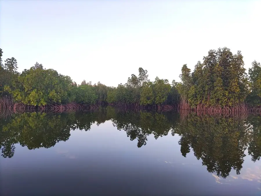 Bintang Bolong — Tendaba (Gambia)