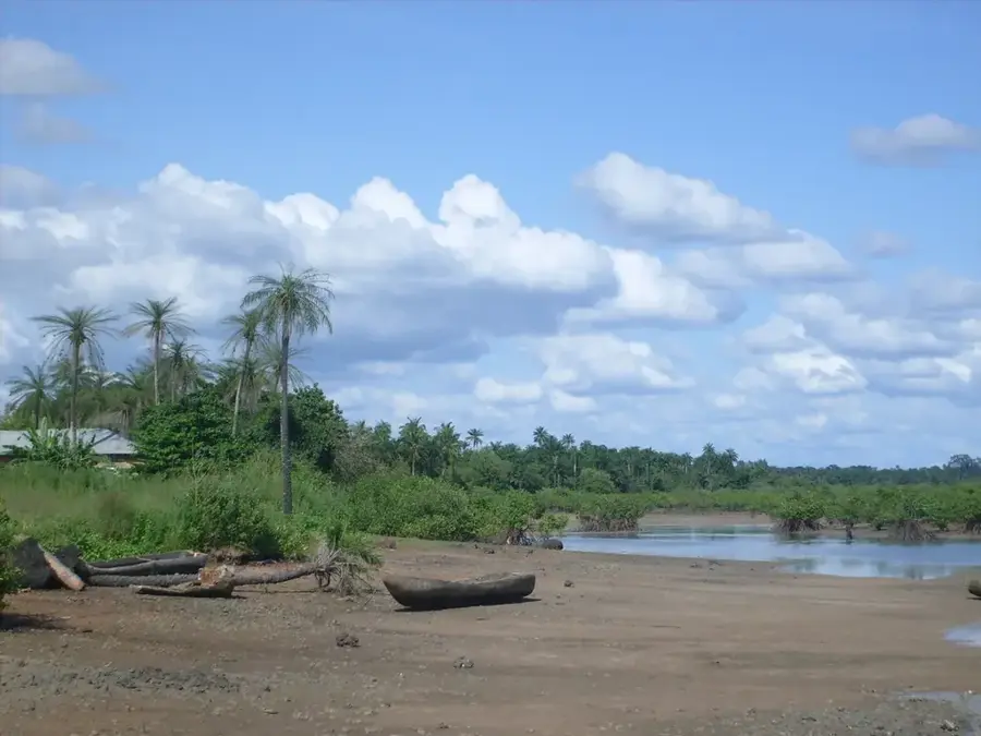 Mlaștina de coastă Biombo — Biombo (Guineea-Bissau)